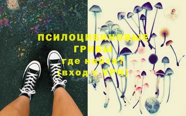 ПСИЛОЦИБИНОВЫЕ ГРИБЫ Белоозёрский