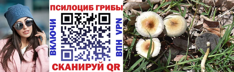 купить маркетплейс состав Псилоцибиновые грибы GOLDEN TEACHER Горячий Ключ